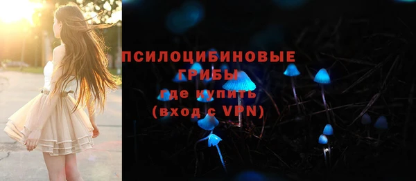 эйфоретик Баксан
