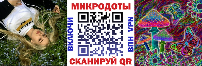 продажа наркотиков  Барыш  Псилоцибиновые грибы Psilocybine cubensis 